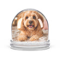 Personalized dog photo snow globe with a pet portrait inside and swirling glitter snow in a clear dome
